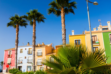 Fototapeta na wymiar Palm trees on the background Colorful houses in the seaside villa Villajoyosa in southern Spain.