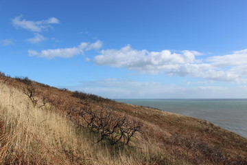 Coast path in irland