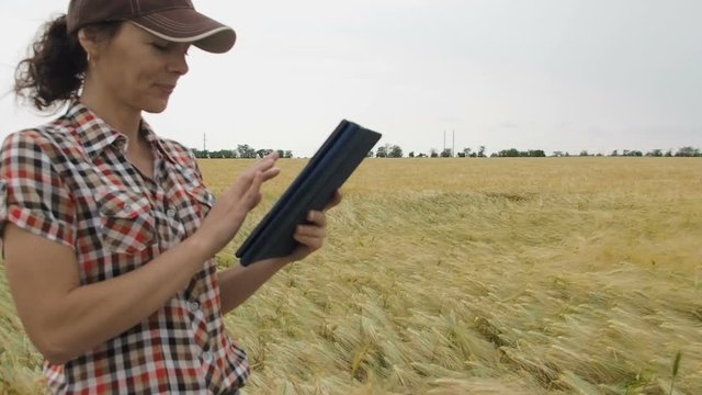 Agronomist with a tablet on the field. The farmer checks the wheat harvest.