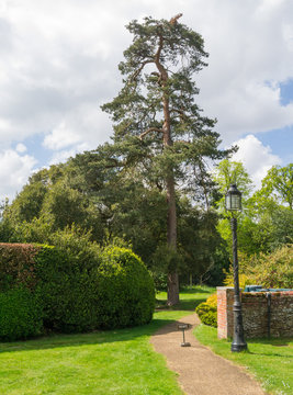 A Path To An Entrance On The Sandringham Estate, Norfolk