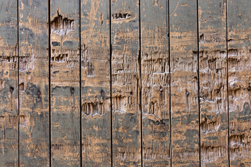 Old wooden planks pattern background