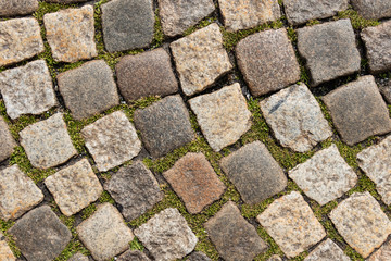 Brick walkway texture