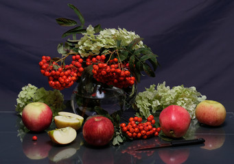 Still life with apples and ashberries on the background of a jug of flowers is reflected on the glass.