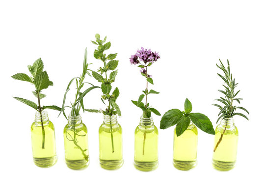 Different healing flowers in small glass bottles of essentila oil on white background