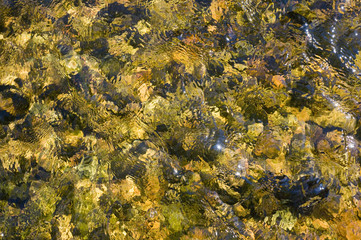 Texture. Water, sand, glare on the water, yellow