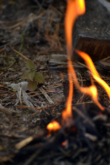 Fire