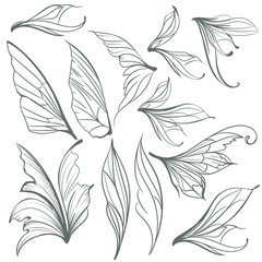 Collection of vector light grey wings for design