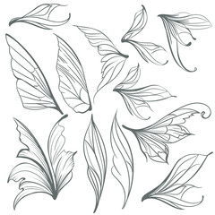Fototapeta premium Collection of vector light grey wings for design
