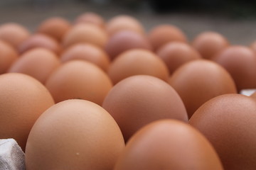Close-up view of raw chicken eggs in egg box