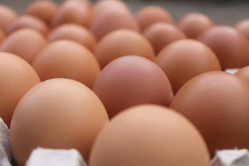 Close-up view of raw chicken eggs in egg box