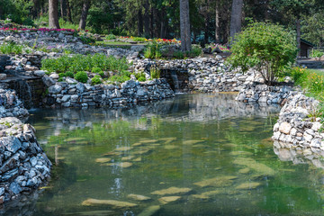 Fototapeta na wymiar Pond in a Garden