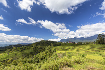 Fototapeta na wymiar Beautiful blue sky punctuates the beauty of the Golo Cador rice terraces near Ruteng in Flores, Indonesia.