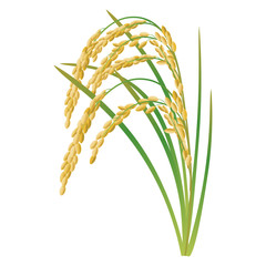 イネ