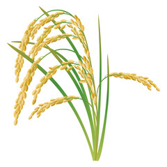イネ