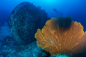SCUBA divers next to an underwater shipwreck next to a large seafan and tropical coral reef