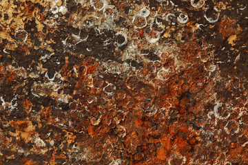 Barnacles on the old and rusty damaged metal.