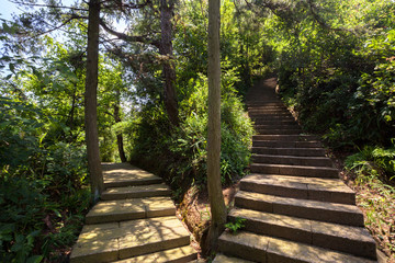 Fork in the road, forest trail pathway. Lang Mountain, Langshan - China National Geopark, Xinning County Hunan province. Unique Danxia Landform, UNESCO Natural World Heritage site. Pepper Peak
