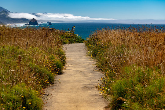 Path to the beautiful Ecola State Park beach at Cannon Beach, Oregon in the Pacific Northwest USA