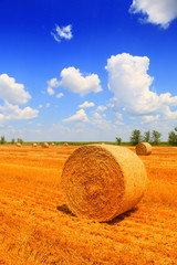 Hay bale in the countryside