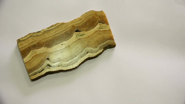 a stone in the form of a cut tree and a fossil in the shape of a triangle.