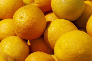 Fresh Mandarins spread out evenly in the shop window.