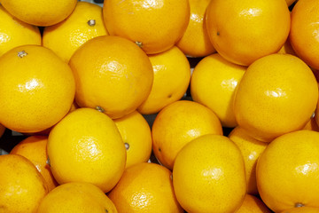 Fresh Mandarins spread out evenly in the shop window.