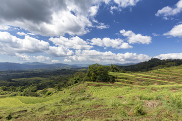 Fototapeta na wymiar Tropical clouds over the Golo Cador Rice Terraces in Ruteng on Flores, Indonesia.