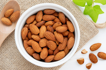 アーモンドの写真素材