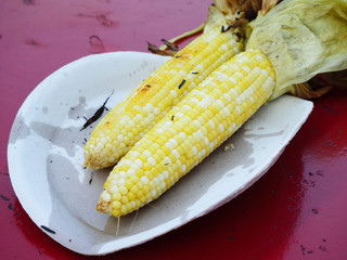 Fire Roasted Corn ready to serve