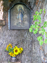 Shrine in 1000 year old Linden Tree