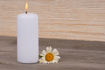 burning white candle and camomile flower