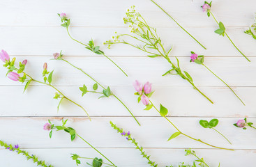 wild beautiful flowers on white rustic wooden background