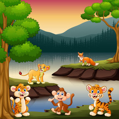 Obraz na płótnie Canvas Wild animals are enjoying nature by the lake