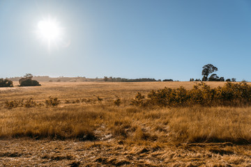 Drought in rural NSW, Australia.