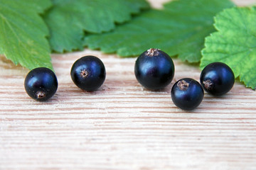 Freshly picked blackcurrant with leaves on wooden background