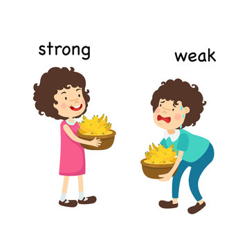 Opposite Strong And Weak  And Clever Vector Illustration