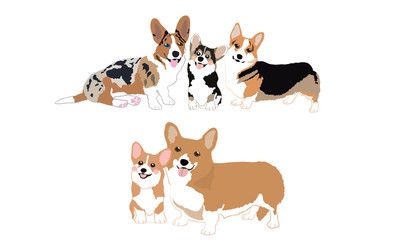 Cute Welsh Corgi Dogs Cartoon Vector