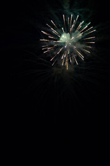 Fototapeta premium Firework