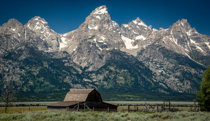 Obraz premium A Mormon barn in the forground of the Tetons in Grand Teton National Park