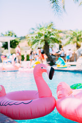 Pool Party