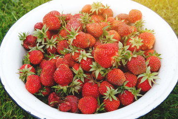 Red strawberries in a white bowl. Natural food, a healthy lifestyle.