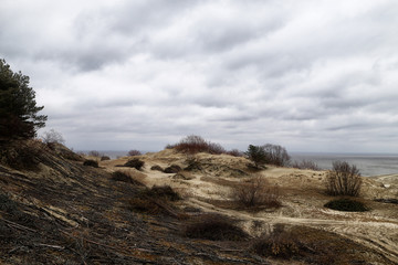 Beautiful view on sand dunes of the Curonian spit. Nida in Lithuania and Kaliningrad region in...