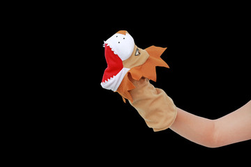 Hand wearing Lion puppets isolated on black background, Lion head.