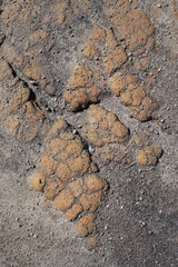 mountain stone texture