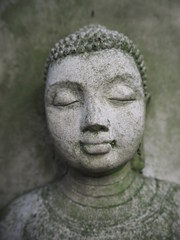 Buddha face close up, grey with  weathered moss sitting in a tree