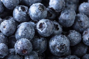  Ripe and juicy fresh picked blueberries closeup.