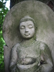 Buddha face close up, grey with  weathered moss sitting in a tree