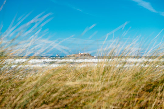 Behind the grass