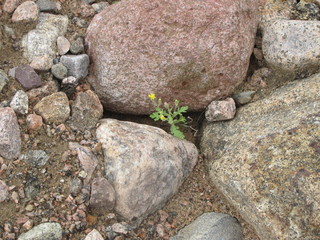 Stones, water and sand on a cloudy day closeup