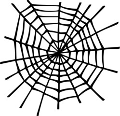 Obraz premium Illustration of spider web